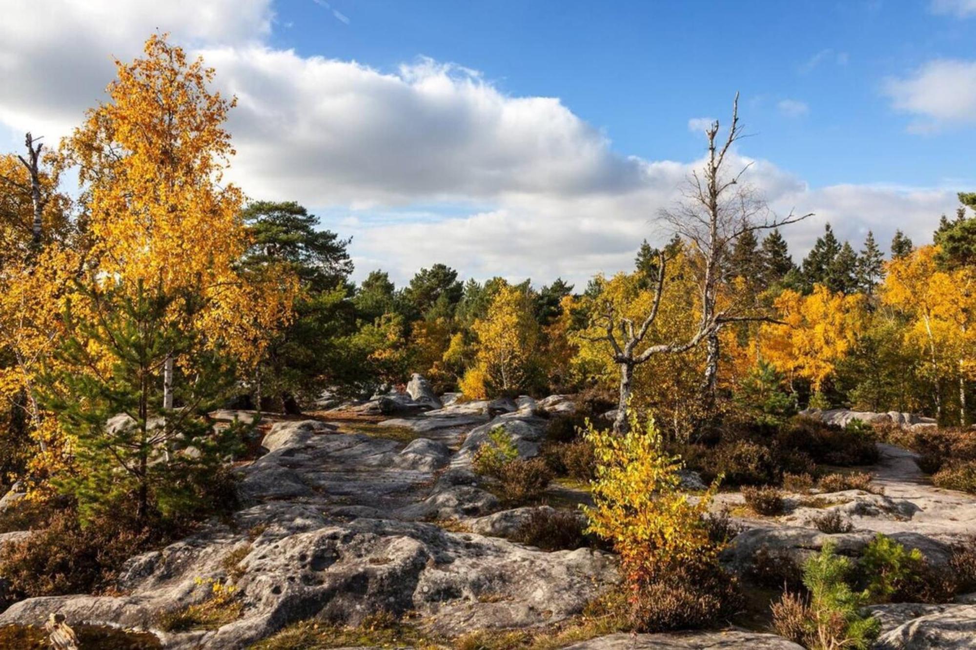 Fontainebleau - Chez Julienアパートメント エクステリア 写真